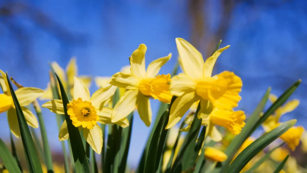 March Monthly Round Up